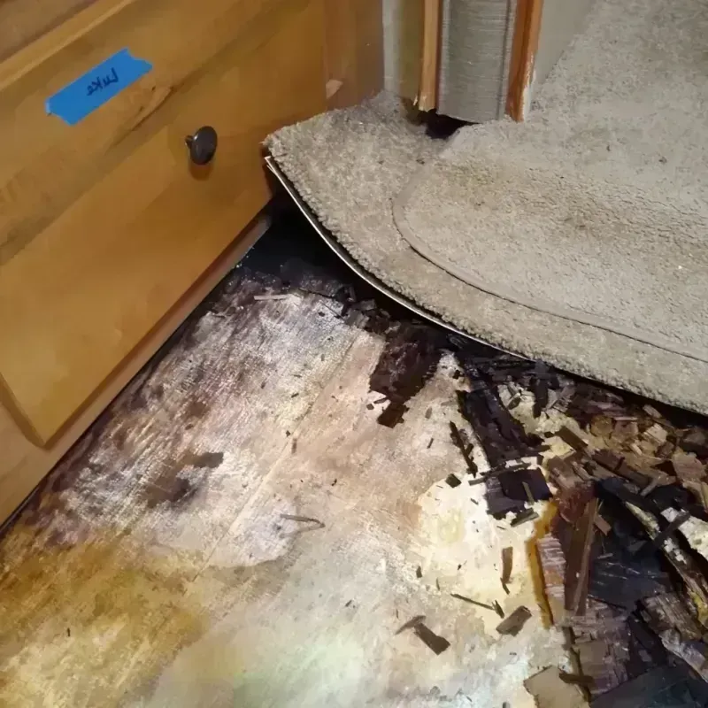 Wood Floor Water Damage in Greenwich, OH